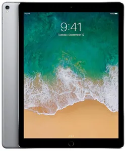Замена динамика на iPad Pro 12.9' (2015) в Тюмени